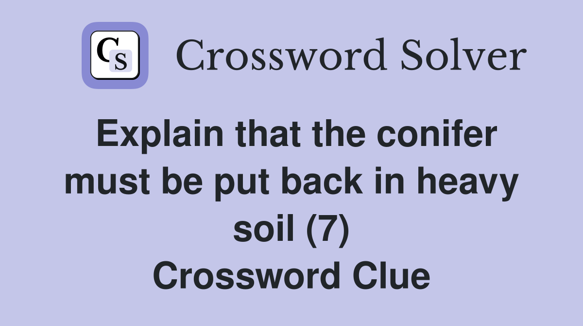 Explain that the conifer must be put back in heavy soil (7) Crossword Clue