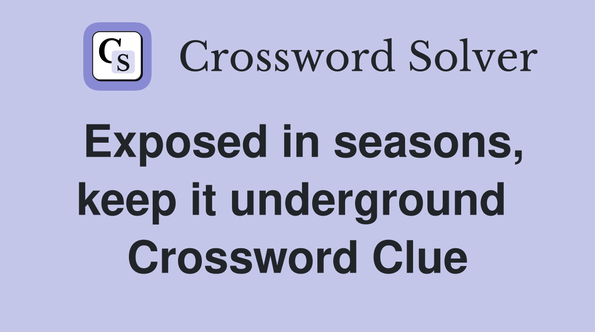 Exposed in seasons, keep it underground  Crossword Clue