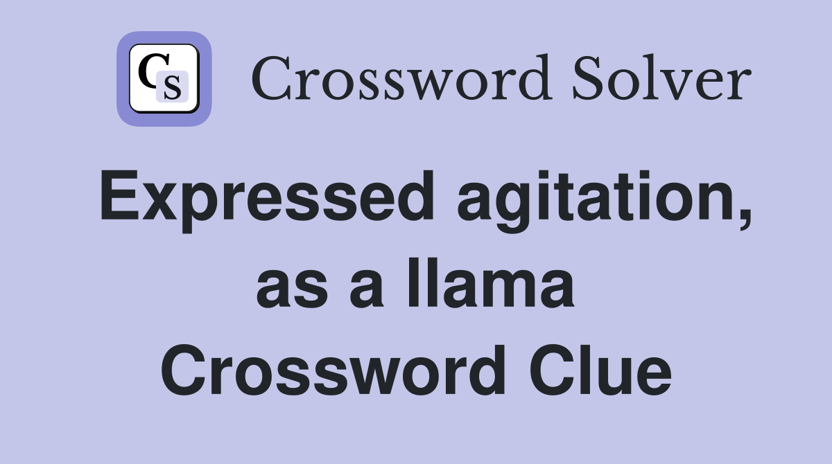 Expressed agitation, as a llama Crossword Clue