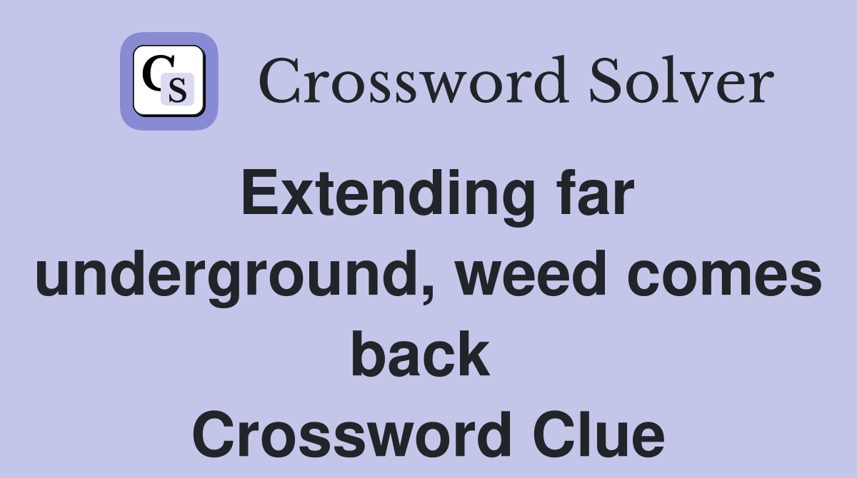 Extending far underground, weed comes back  Crossword Clue