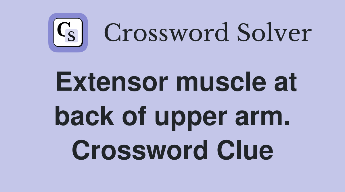 Extensor muscle at back of upper arm. Crossword Clue