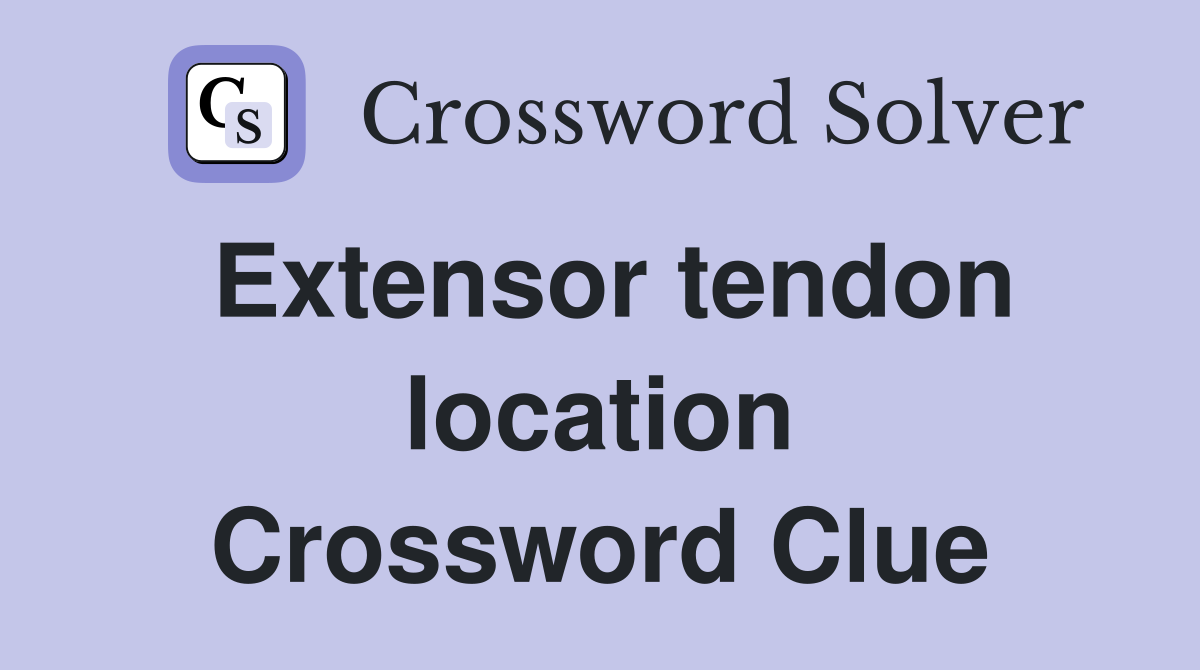 Extensor tendon location Crossword Clue