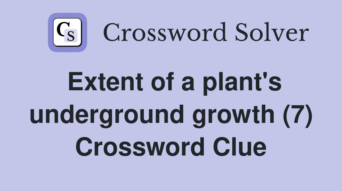 Extent of a plant's underground growth (7) Crossword Clue