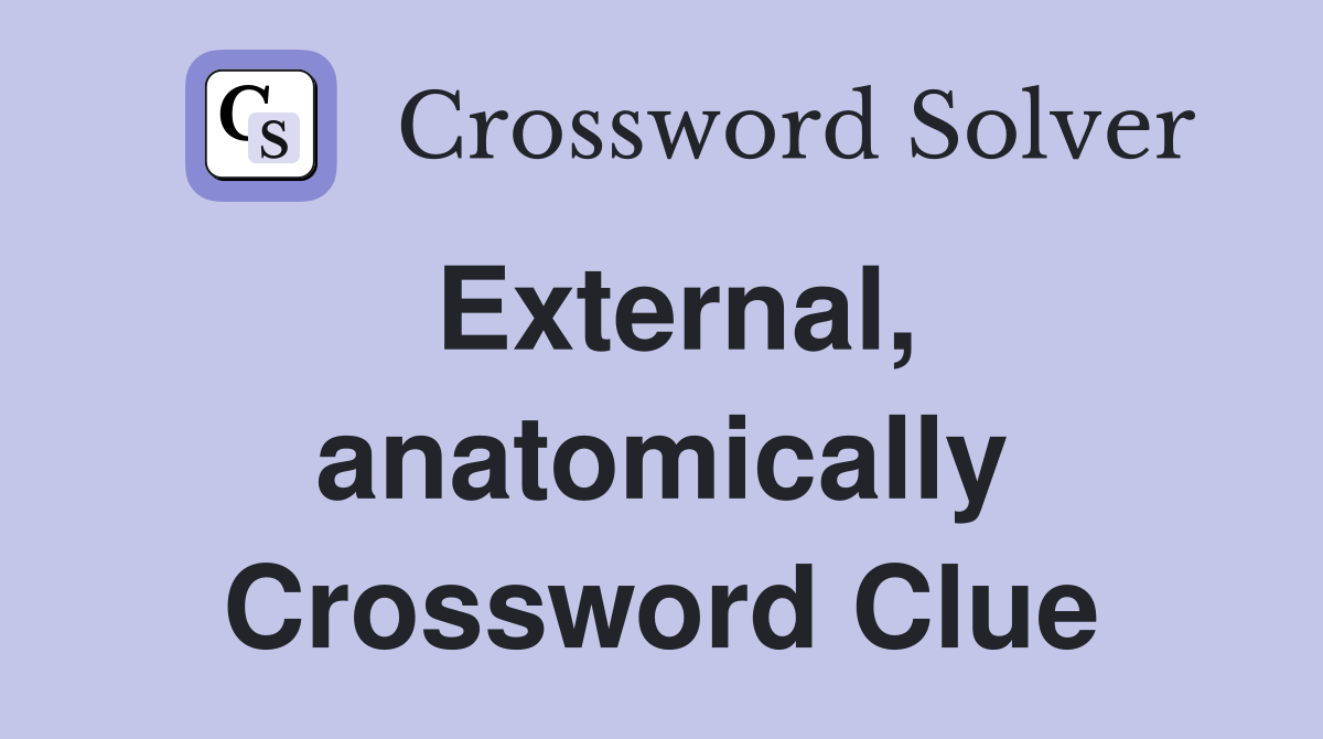 External, anatomically Crossword Clue