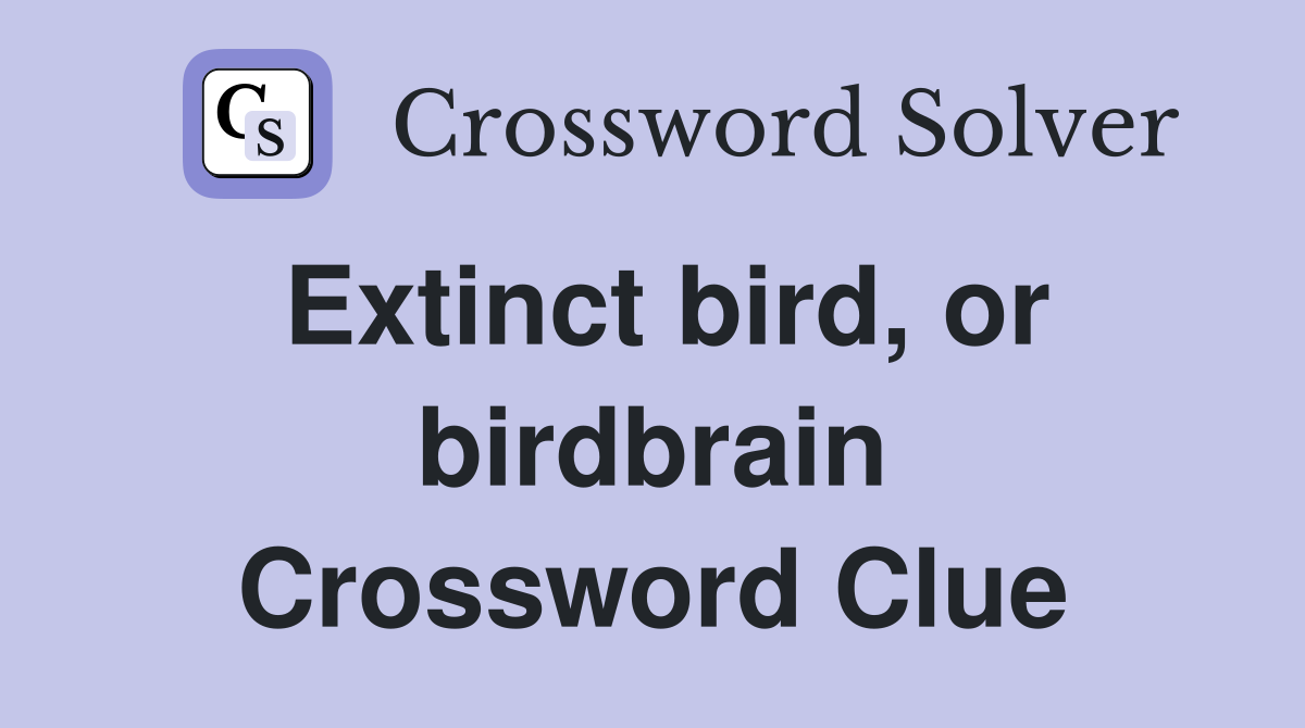 Extinct bird, or birdbrain Crossword Clue