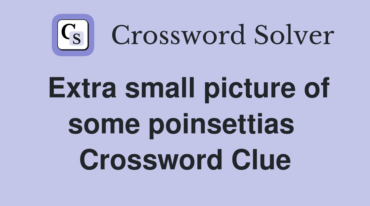 Extra small picture of some poinsettias  Crossword Clue
