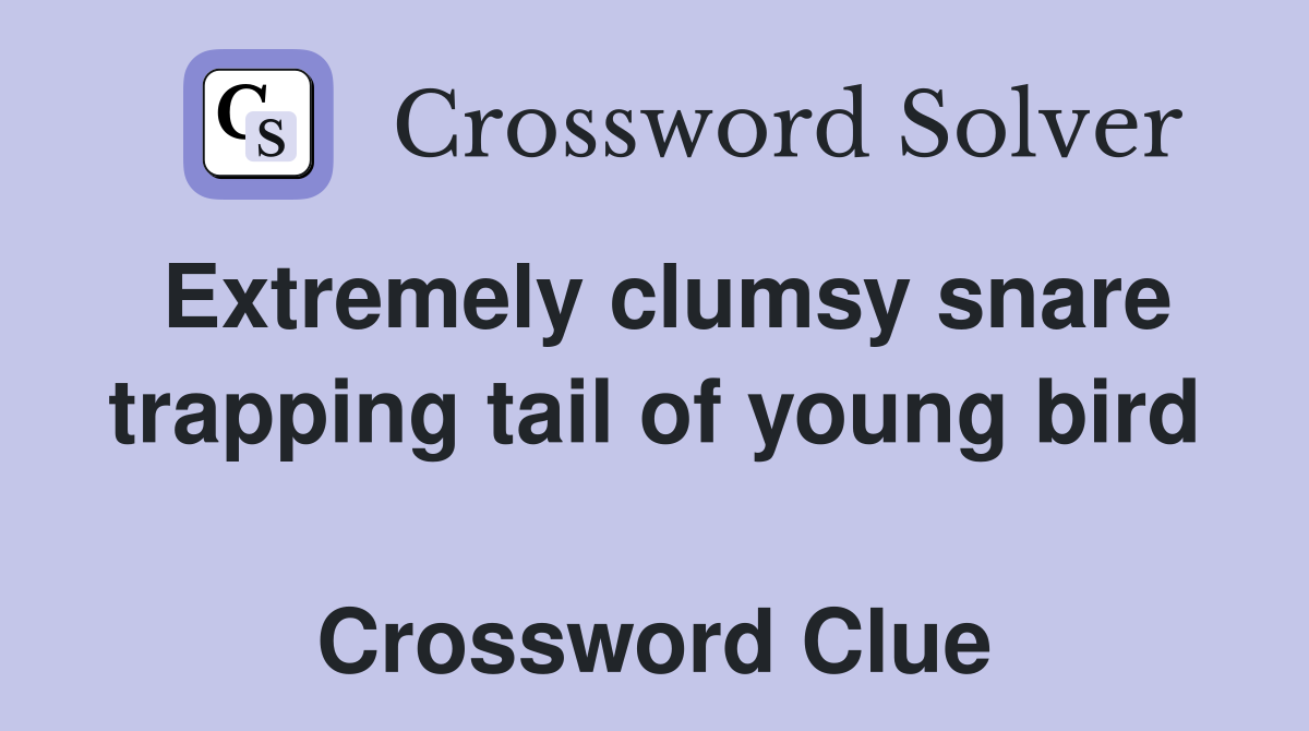 Extremely clumsy snare trapping tail of young bird  Crossword Clue