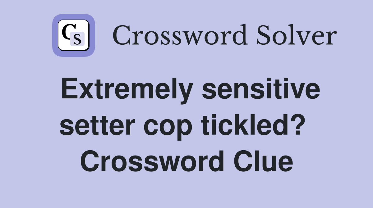 Extremely sensitive setter cop tickled?  Crossword Clue