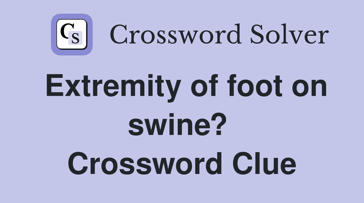 Extremity of foot on swine?  Crossword Clue