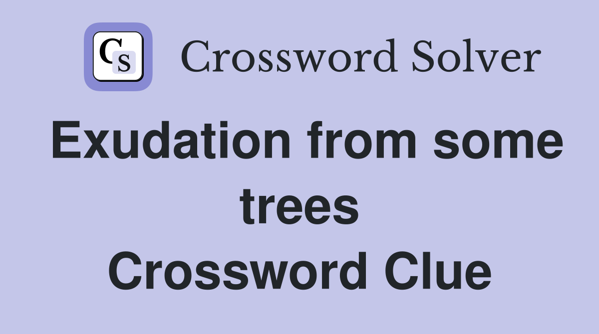 Exudation from some trees Crossword Clue
