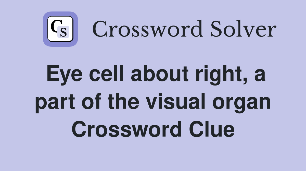 Eye cell about right, a part of the visual organ Crossword Clue