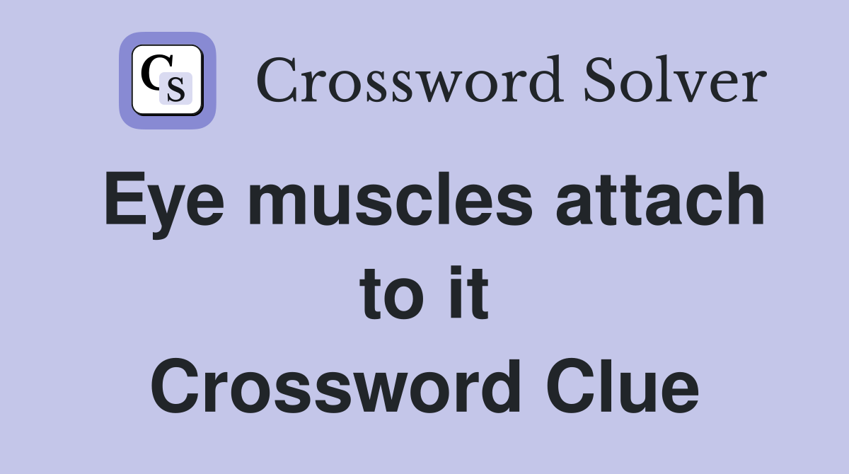 Eye muscles attach to it Crossword Clue
