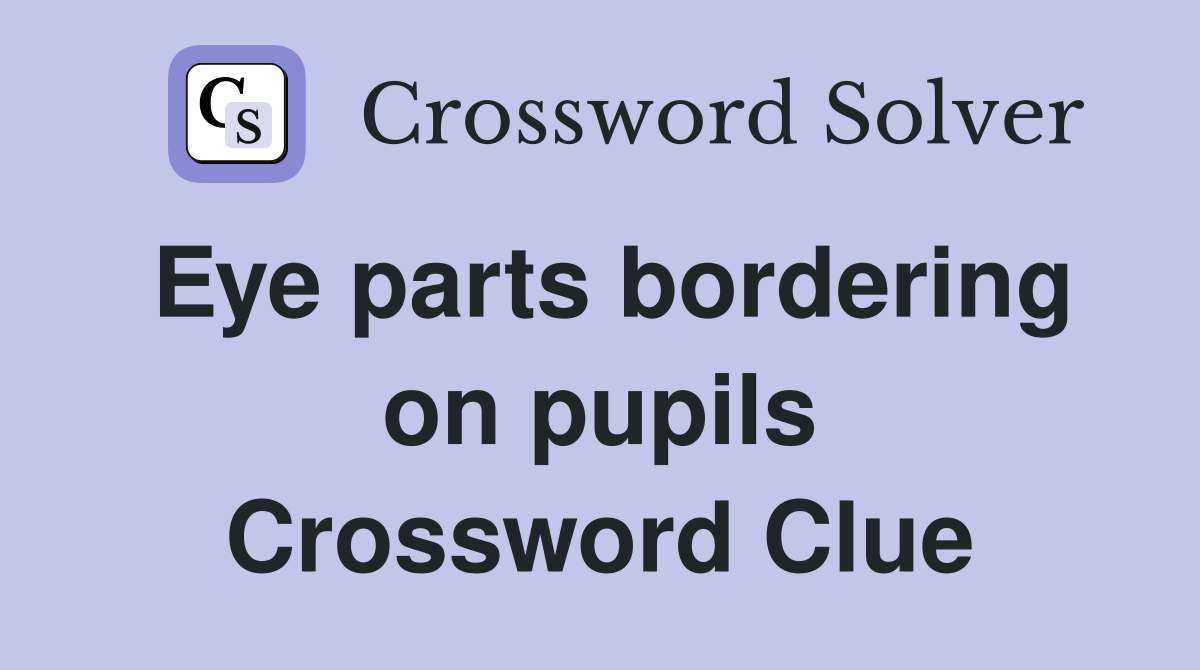 Eye parts bordering on pupils Crossword Clue