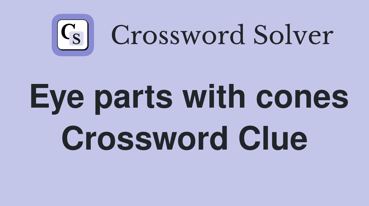 Eye parts with cones Crossword Clue