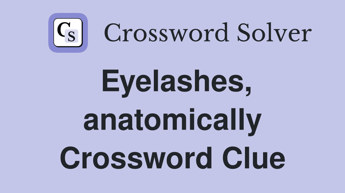 Eyelashes, anatomically Crossword Clue