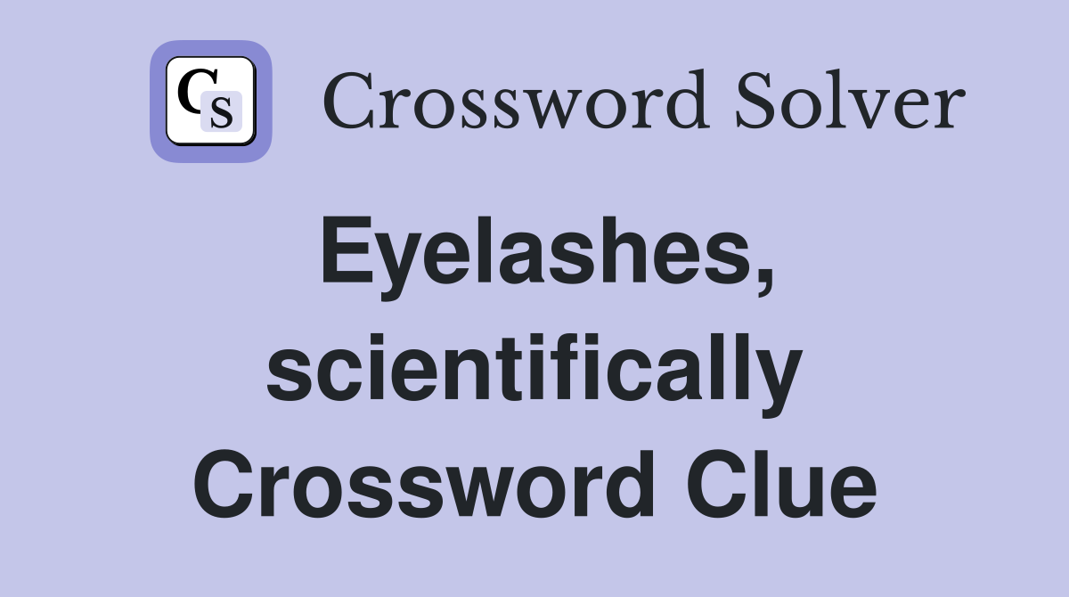 Eyelashes, scientifically Crossword Clue