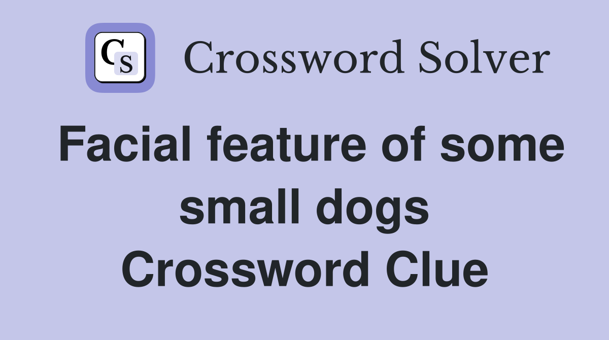 Facial feature of some small dogs Crossword Clue