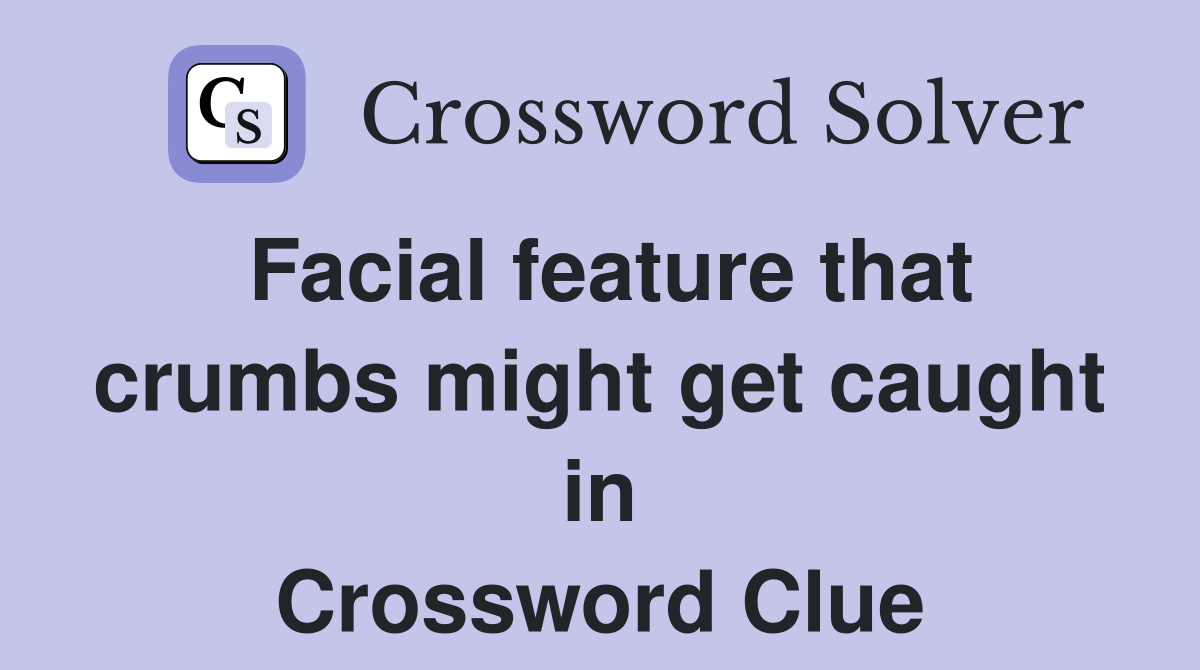 Facial feature that crumbs might get caught in Crossword Clue