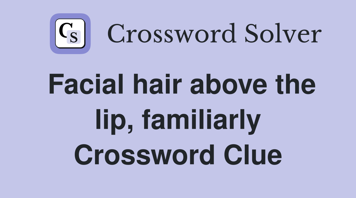 Facial hair above the lip, familiarly Crossword Clue