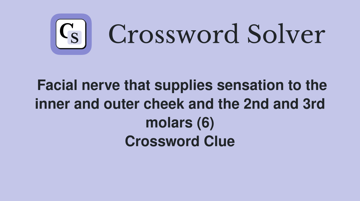 Facial nerve that supplies sensation to the inner and outer cheek and the 2nd and 3rd molars (6) Crossword Clue