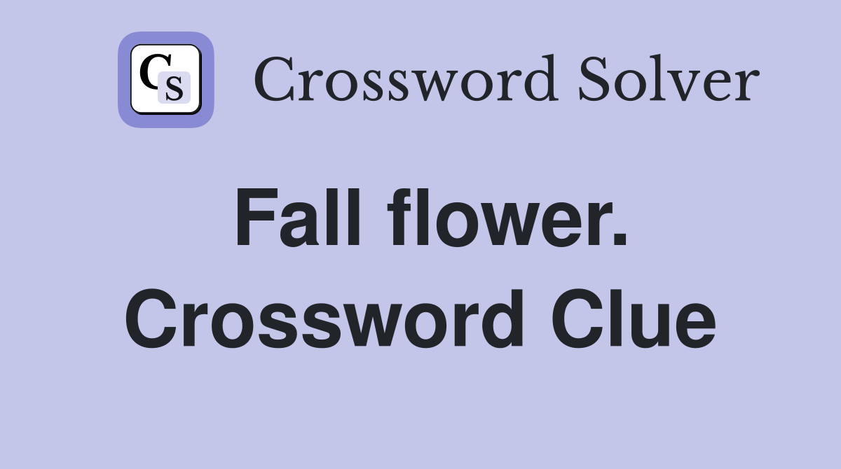 Fall flower. Crossword Clue