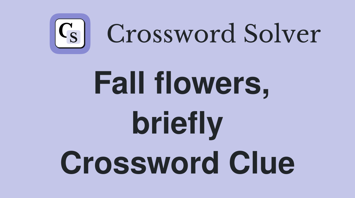 Fall flowers, briefly Crossword Clue