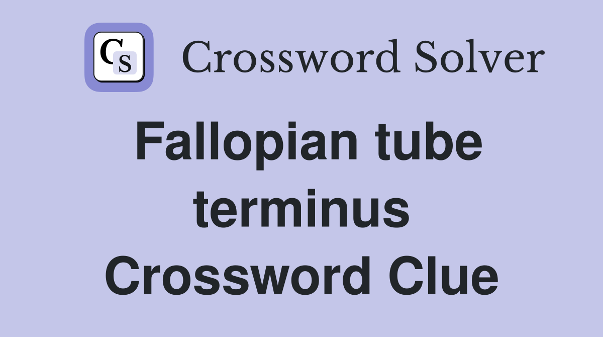 Fallopian tube terminus Crossword Clue