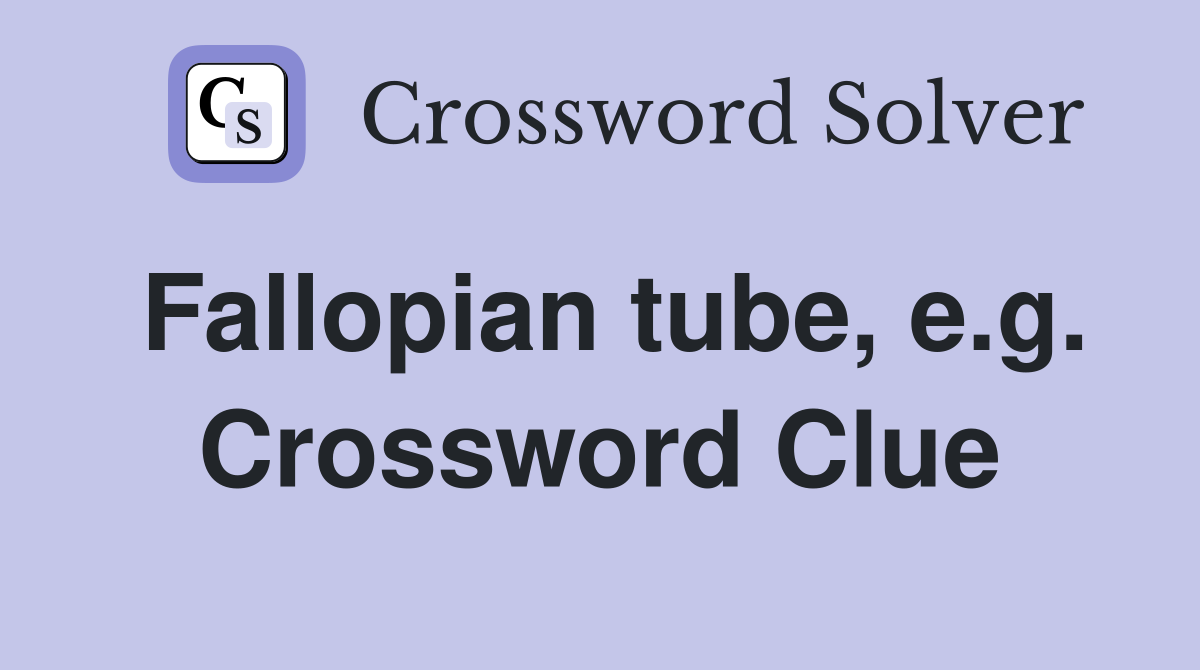 Fallopian tube, e.g. Crossword Clue