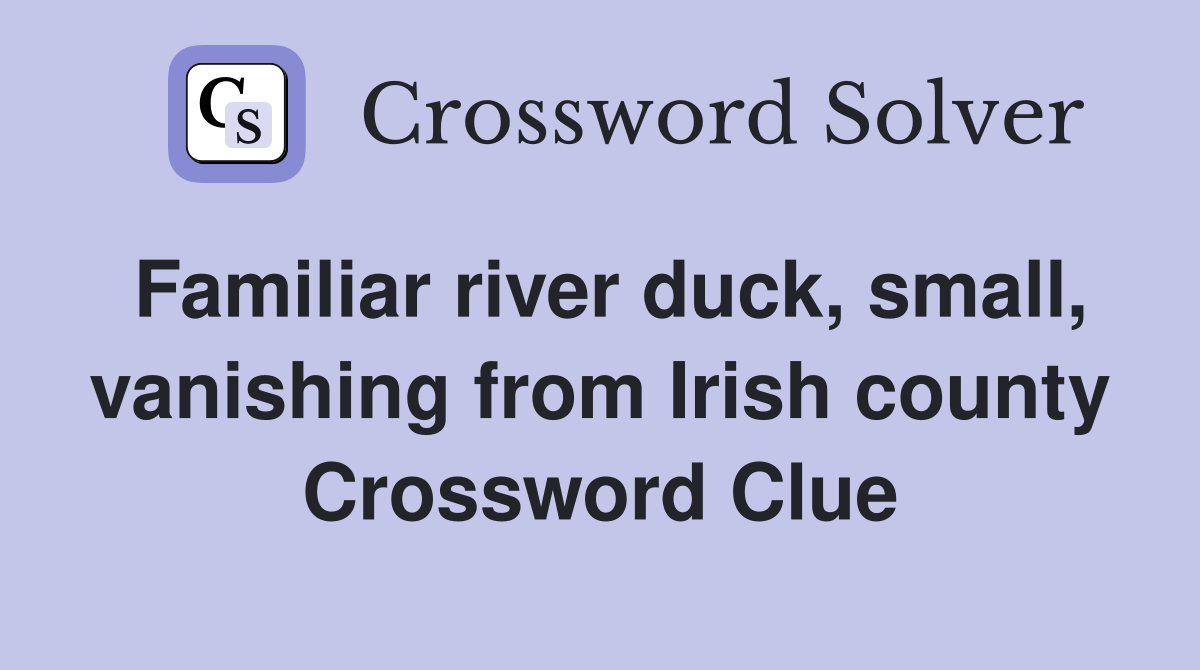 Familiar river duck, small, vanishing from Irish county Crossword Clue
