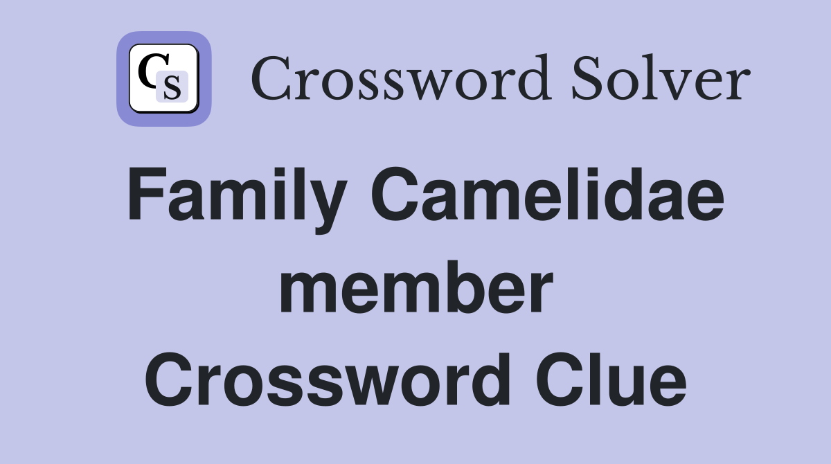 Family Camelidae member Crossword Clue