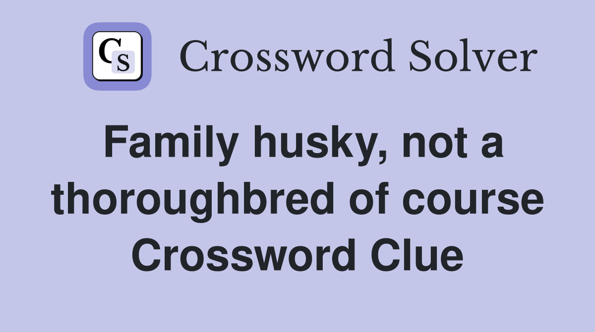 Family husky, not a thoroughbred of course Crossword Clue
