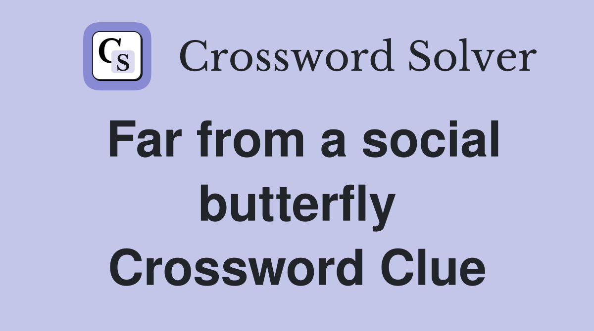 Far from a social butterfly Crossword Clue