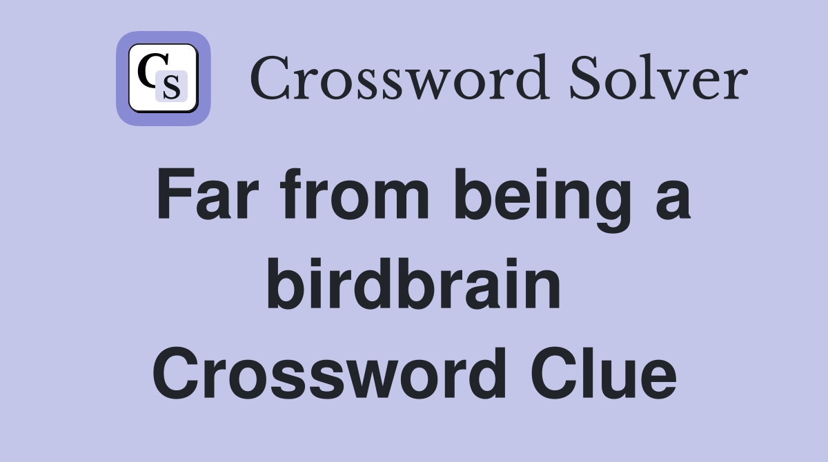 Far from being a birdbrain Crossword Clue