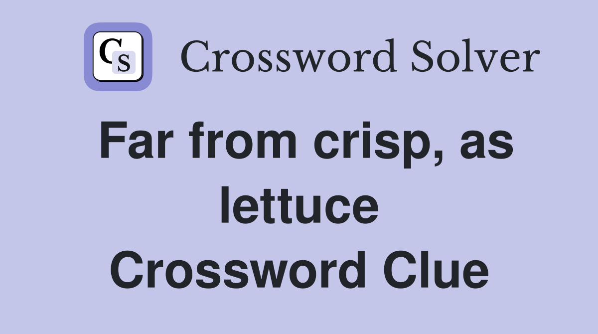 Far from crisp, as lettuce Crossword Clue