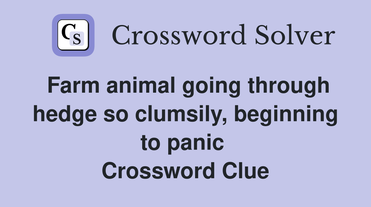 Farm animal going through hedge so clumsily, beginning to panic  Crossword Clue