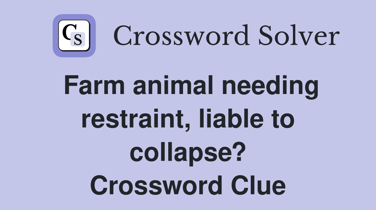 Farm animal needing restraint, liable to collapse? Crossword Clue