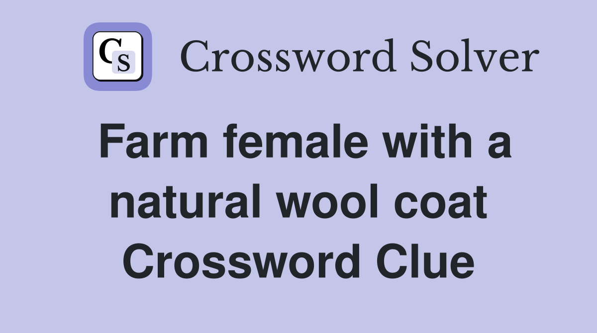 Farm female with a natural wool coat Crossword Clue