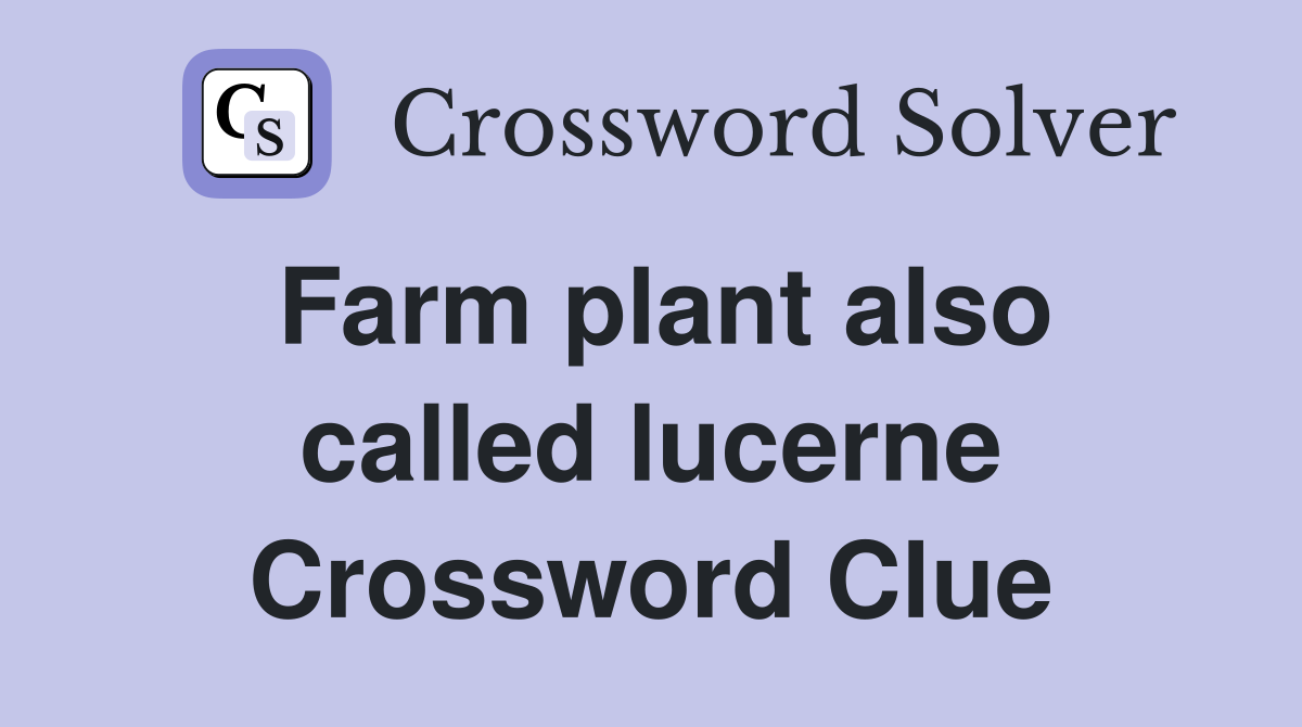 Farm plant also called lucerne Crossword Clue