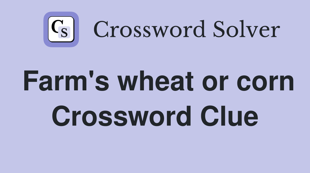 Farm's wheat or corn Crossword Clue