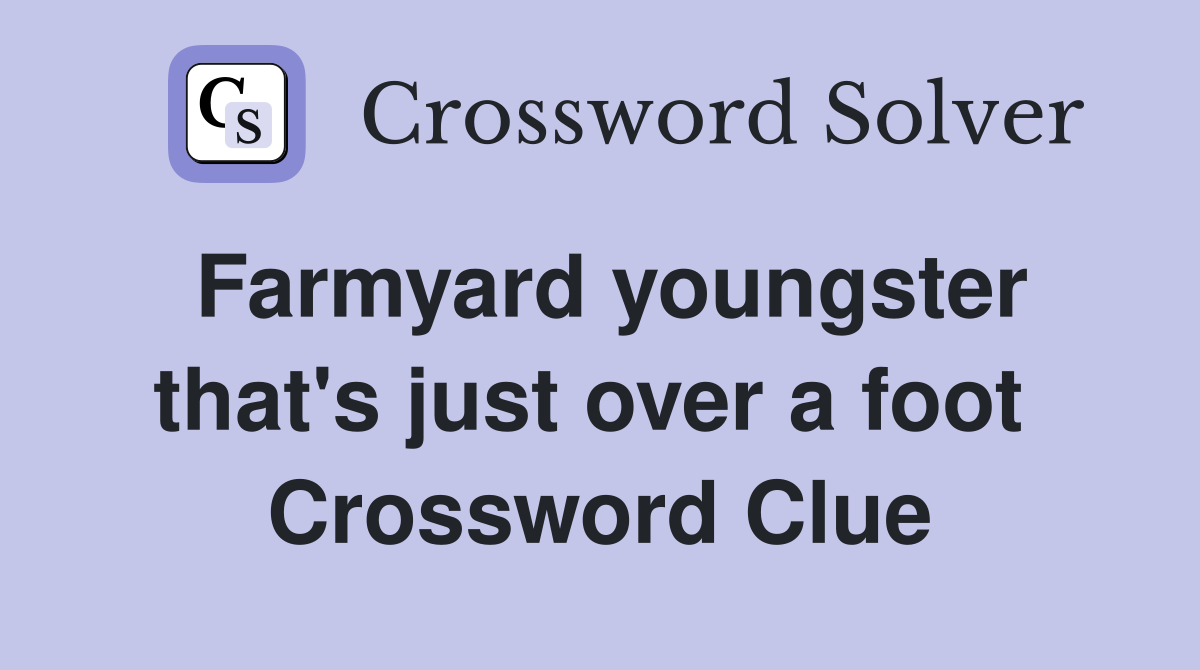 Farmyard youngster that's just over a foot  Crossword Clue