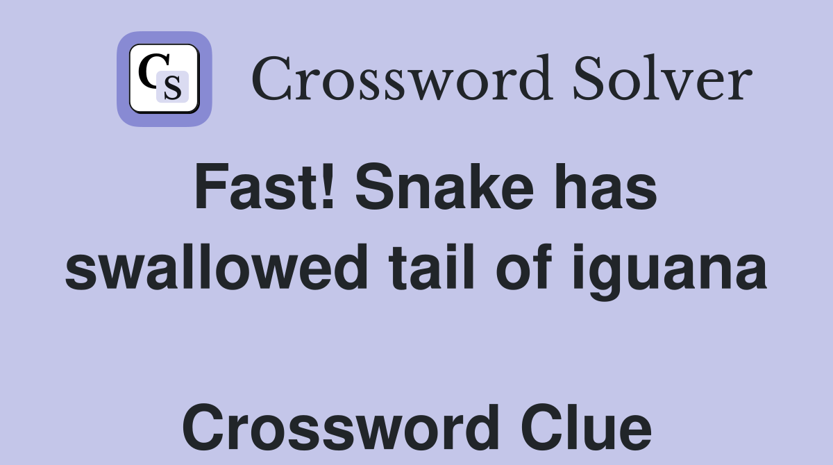 Fast! Snake has swallowed tail of iguana  Crossword Clue