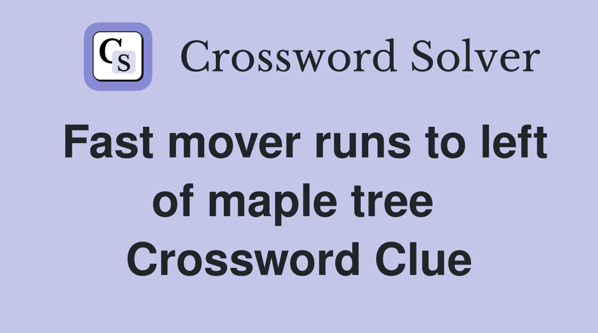 Fast mover runs to left of maple tree  Crossword Clue
