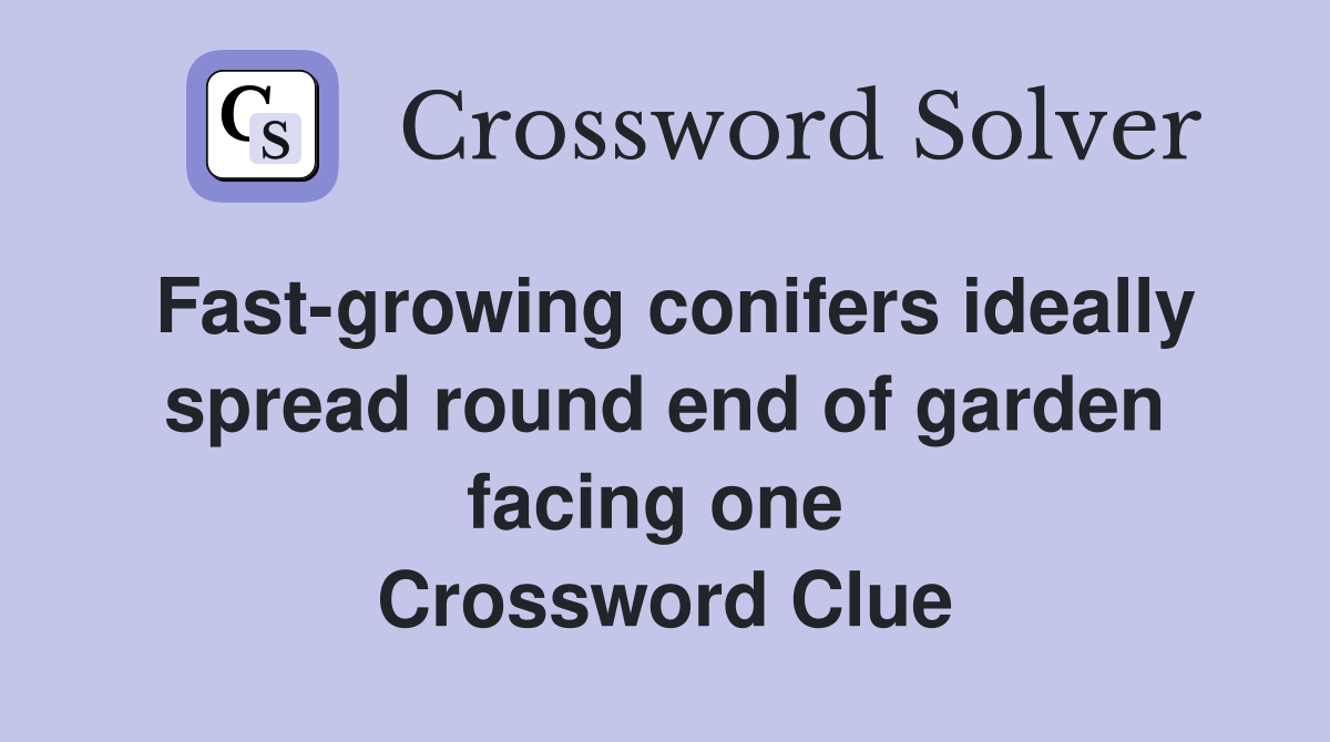 Fast-growing conifers ideally spread round end of garden facing one  Crossword Clue