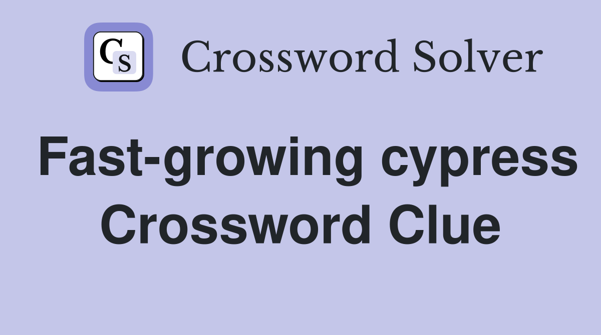 Fast-growing cypress Crossword Clue