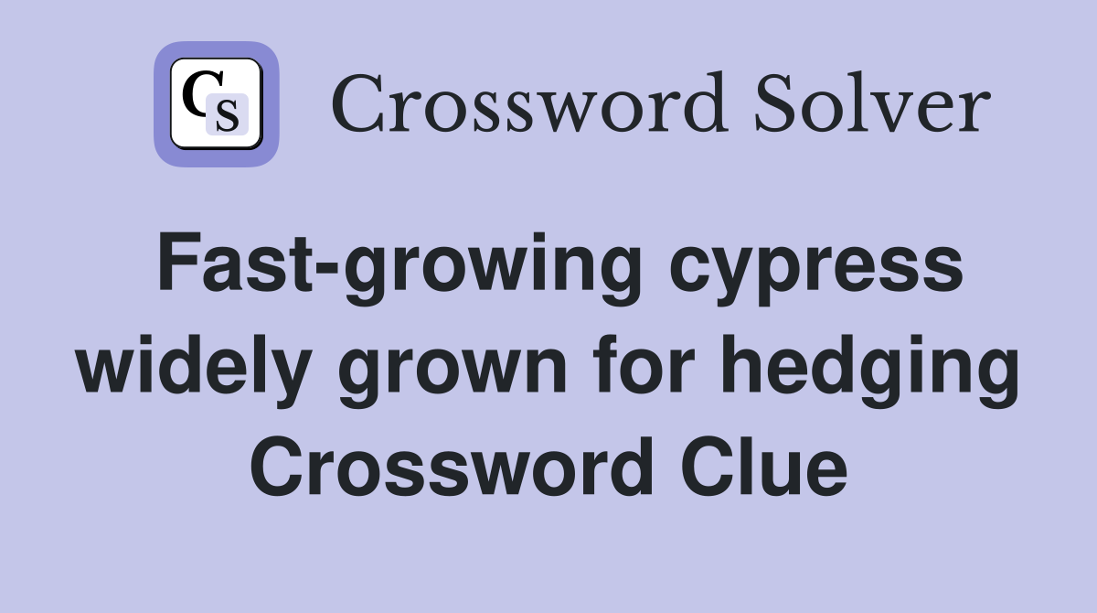 Fast-growing cypress widely grown for hedging Crossword Clue