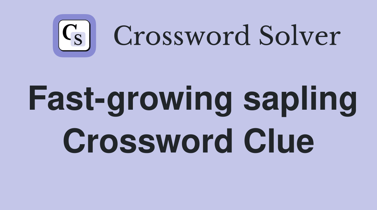 Fast-growing sapling Crossword Clue