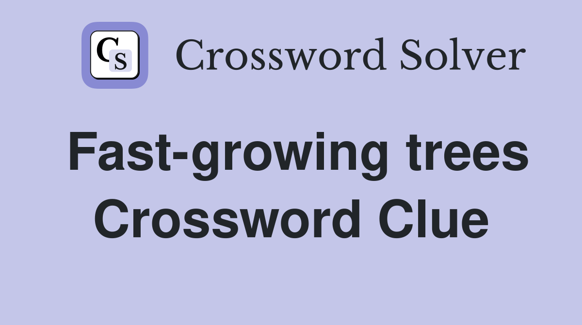 Fast-growing trees Crossword Clue