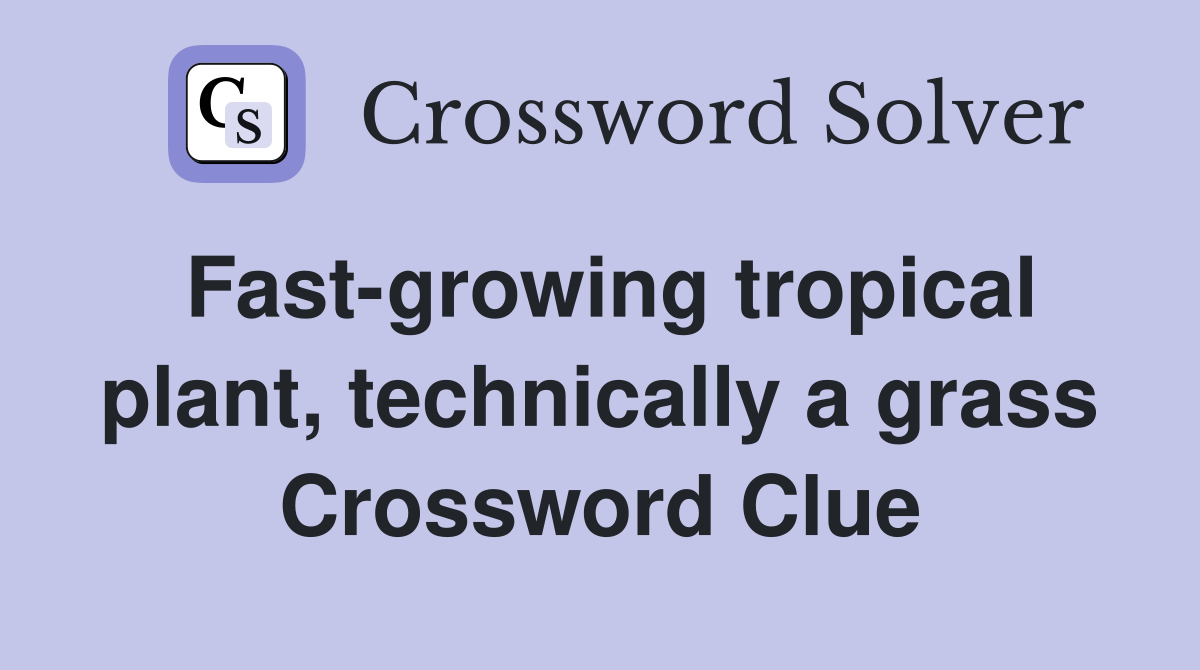 Fast-growing tropical plant, technically a grass Crossword Clue