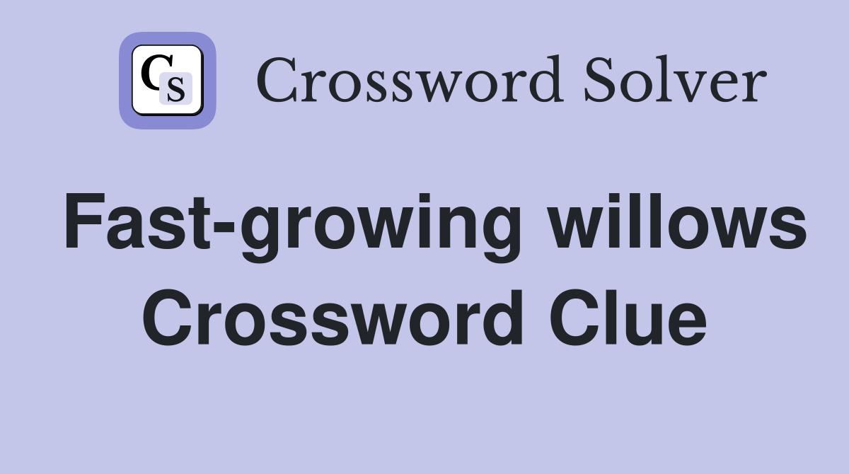 Fast-growing willows Crossword Clue