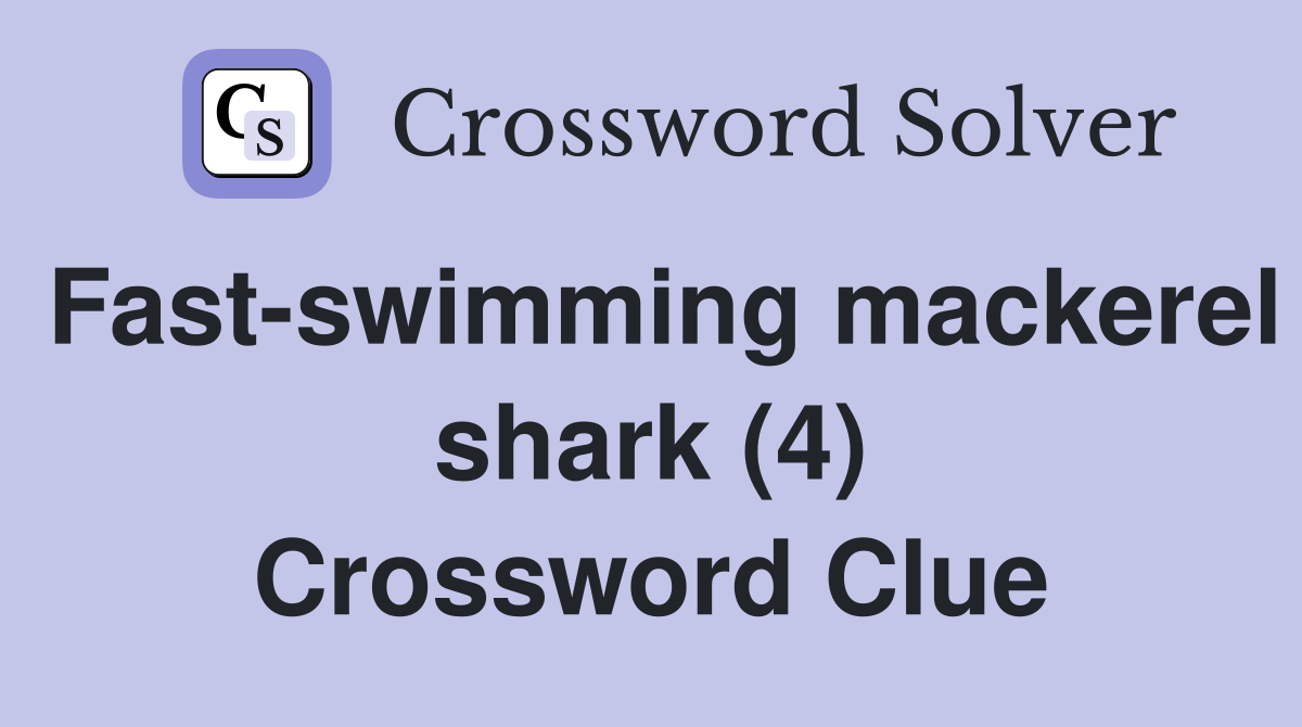 Fast-swimming mackerel shark (4) Crossword Clue